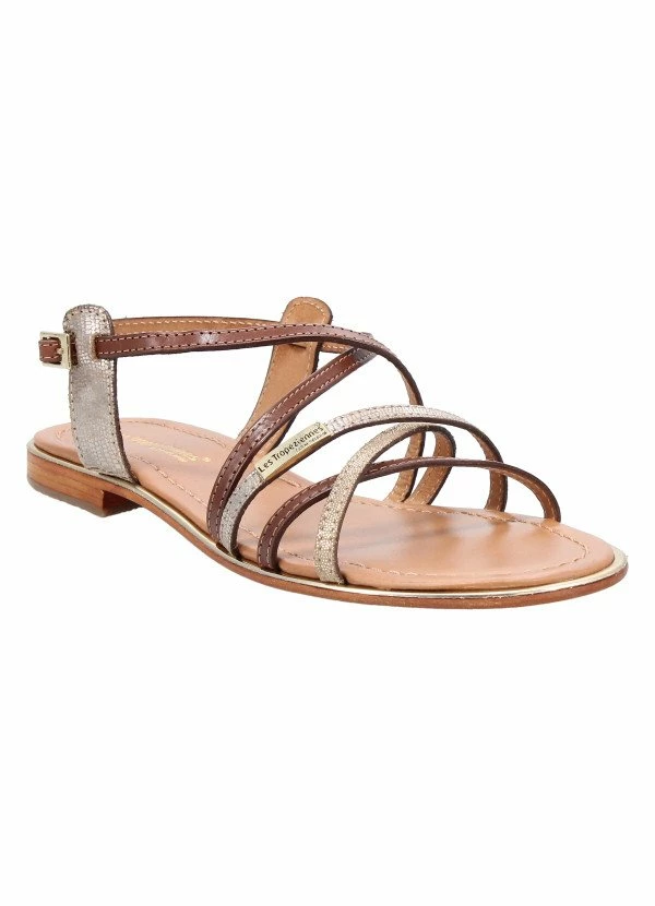 Les Tropéziennes Par M Belarbi Les Tropeziennes Par M.Belarbi HARRY TAN-OR